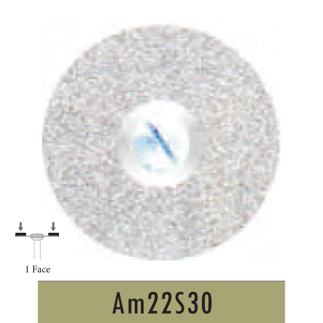 Metior - Disque diamanté sans mandrin - Pièce à main - 1pc - Am22S30 - Fraise pour Pièce à Main - Prothésistes dentaires - Pédicures podologues - Chirurgiens dentistes - Étudiants dentaires - Joalliers - Metior